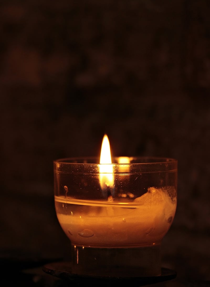 Botanical Scented Candles